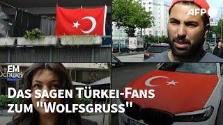 "Wolfsgruß": Das sagen Türkei-Fans in Deutschland | AFP