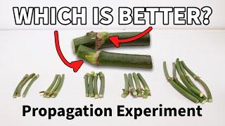 Which Node End Matters When Propagating?