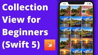 Create Collection View for Beginners (Swift 5, Xcode 12, iOS) - 2020 iOS Development