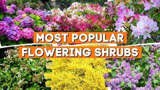 10 Most Popular Flowering Shrubs That Perfect in Any Garden 