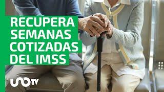 Recupera semanas cotizadas del IMSS