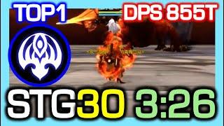 [TOP1] Dark Summoner "STG30" 3:26 / DPS 855 Trillion / Dragon Nest China