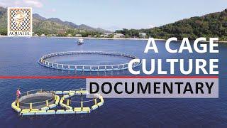 Marine Aquaculture in Indonesia | A Cage Culture Documentary