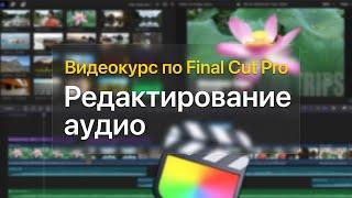  Редактирование аудио — курс уроков по Final Cut Pro