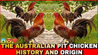 THE HISTORY AND ORIGIN OF AUSTRALIAN PIT CHICKEN.