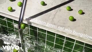 Crucchi Gang, Francesco Wilking - Il mio bungalow (Lyric Video)