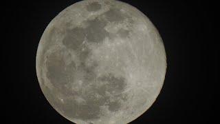 Full Moon (100,0%) of 24 February 2024 recorded with Nikon P900