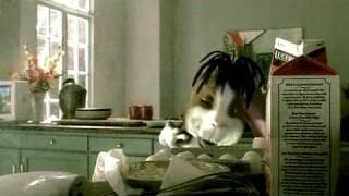 Counting Crows - Accidentally In Love Official Music Video