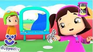 We Know Animals | 3 Episodes Together with Leliko and Pisi | Pepee Kids