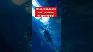 ПРЕДСТАВЛЯЕТЕ КАК ТЯЖЕЛО ОПЕРАТОРУ?Плавание кролем подводная съёмка #swim #плавание #кроль