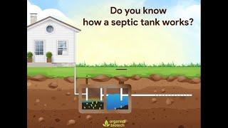 How A Septic Tank Works: Septic Tank Treatment | Organica Biotech