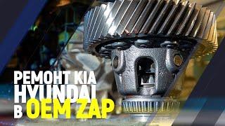 Ремонт Kia и Hyundai в OEM ZAP