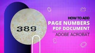 How to insert Page Numbers in pdf document | Adobe Acrobat