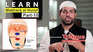 Articulation Points of Arabic Letters | Learn Makharij al Huruf with Shaykh Ismail Al-Qadi | Part 10