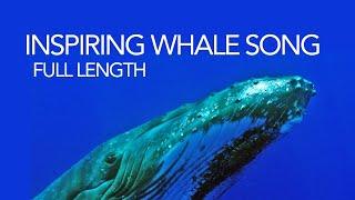 Whale song - full length humpback whale song - soothing sounds of the sea for meditation