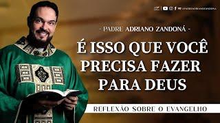 Homilia Diária - Palavra do Dia - Liturgia do Dia - Padre Adriano Zandoná