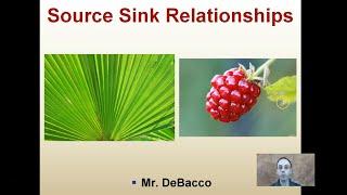 Source Sink Relationships