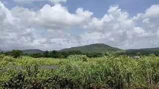 Mumbai time lase video #timelapse #mumbai #forest #forwardheadposture