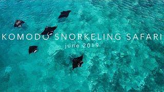 Snorkeling Komodo with Snorkel Ventures: June 2019