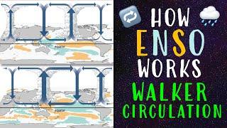 How ENSO Works: Walker Circulation