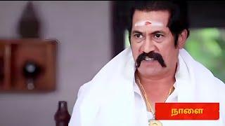 Chinna Marumagal Serial | 20th November 2024 | Promo