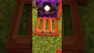 Minecraft: House For My Cat#shorts