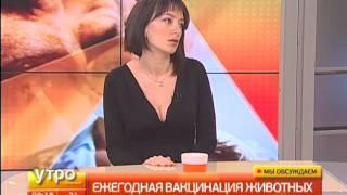 Ежегодная вакцинация животных. Утро с Губернией. Gubernia TV