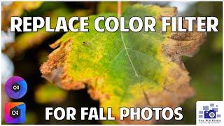 How to replace color in on1 photo raws filter menu - make subtle edits that look great