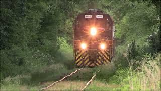 Mass Coastal 2007 on overgrown tracks - Watuppa Branch - 6/2024