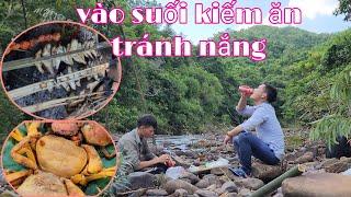 sinh tồn kiếm ăn trong rừng già ,vào rừng kiếm ăn tránh nắng mùa hè | nhật ký cuộc sống