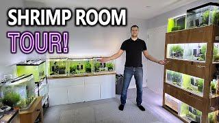 EPIC Shrimp Room Tour: All My Shrimp tanks with RARE Caridina Shrimp