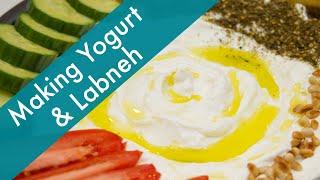 How to Make Yogurt and Labneh at Home