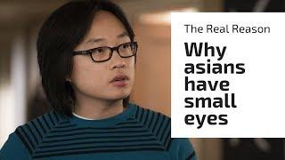 The Truth Behind Why Asians have Small Eyes