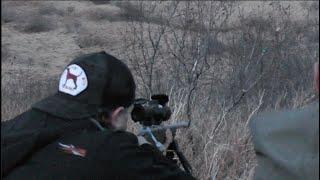 Brown Bear at 10 YARDS! ~ Alaska Peninsula