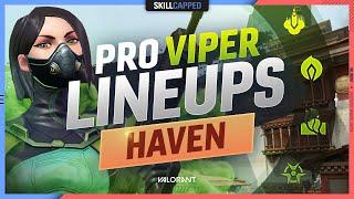 The BEST PRO VIPER LINEUPS, SPOTS, & SETUPS For HAVEN - Valorant Tips, Tricks and Guides