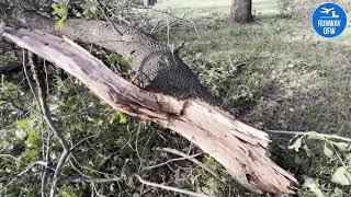 Storm damage at Runway DFW Ranch