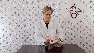 Joy ON Kehel: Learn How to Insert your Kegel Exerciser Correctly