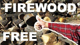 $360 WORTH OF FIREWOOD IN LESS THAN 3 HOURS!