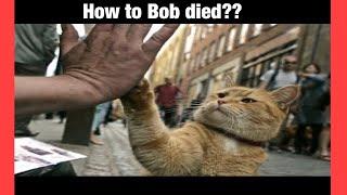 How to A street cat named Bob died | struggle of james to saved Bob