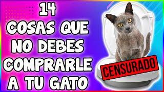 14 Cosas Que No Debes Comprarle a Tu Gato - SiamCatChannel