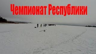 Вилейское водохранилище/Чемпионат Республики по мормышке/Первый этап ЧРБ-2023