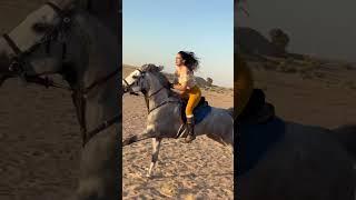 Dubai desert horse riding #horsebackriding #dubailife #horseriding #horselover #dubai #horseride