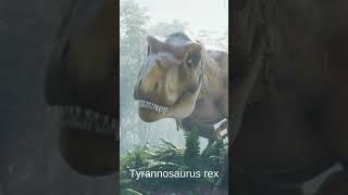 Tyrannosaurus rex Sound - T Rex Sound Effects #tyrannosaurusrex #trex #dinosaur #shorts