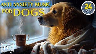 24 Hours of Music for Dogs Who are Alone: Cure Separation Anxiety & Calming Stress Relief for Dogs