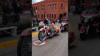 I’m not sure what to think about this Harley-Davidson motorcycle. I have seen stranger things but…