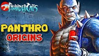 Panthro Origin - Extremely Ferocious & Ultra-Efficient Combatant & Engineer In Thundercats Team
