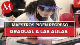 ¿Cuál es la postura del magisterio sobre el regreso a clases en Campeche?