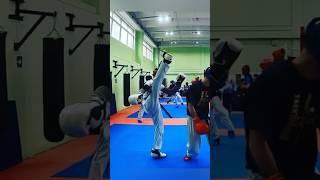  TAEKWONDO #taekwondoitf #martialart #knock #shamaninanton #shorts #itftaekwondo