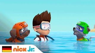 Dive In with PAW Patrol | Nick Jr