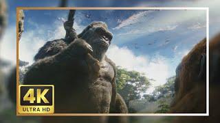 Kong 2024 Scene Pack | Godzilla X Kong The New Empire 4K Clips